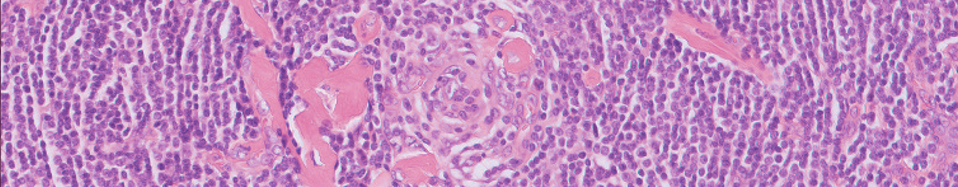 Pathology image